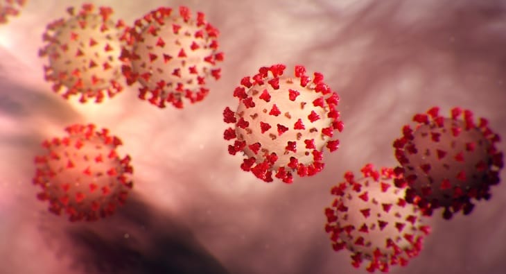 Virus image?blur=25