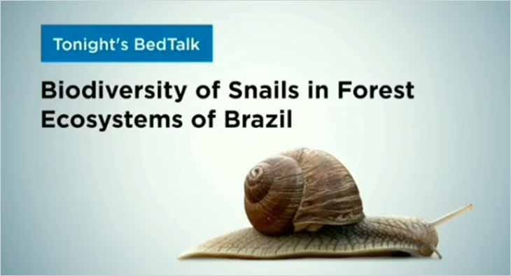 Peps BEDTalks?blur=25