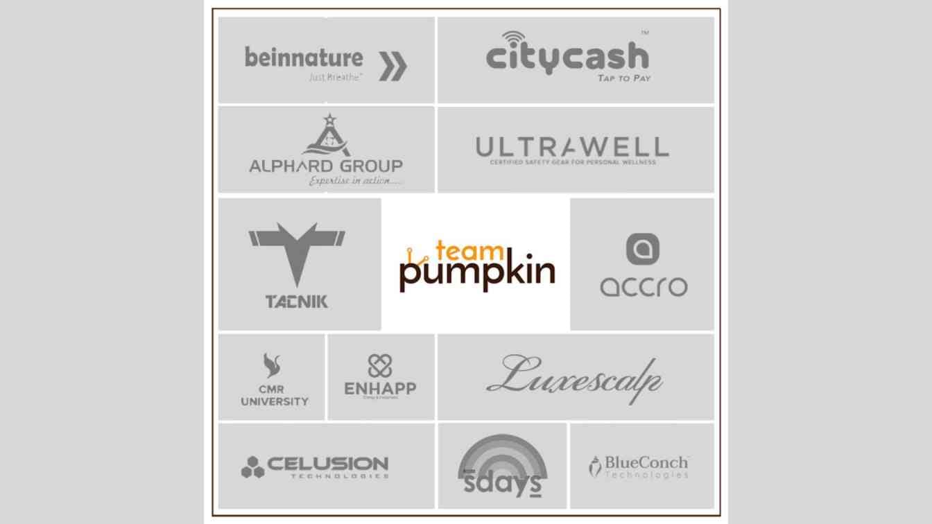 team pumpkin?blur=25