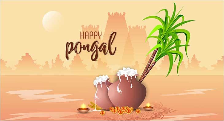 Pongal?blur=25