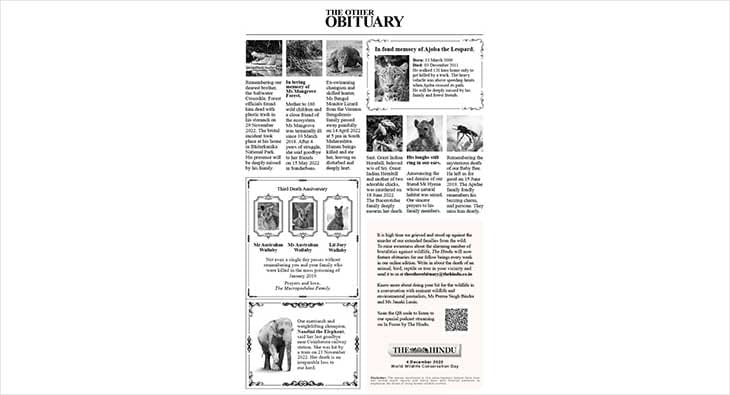 The Hindu?blur=25