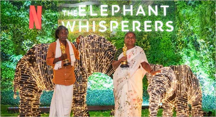 the elephant whisperers