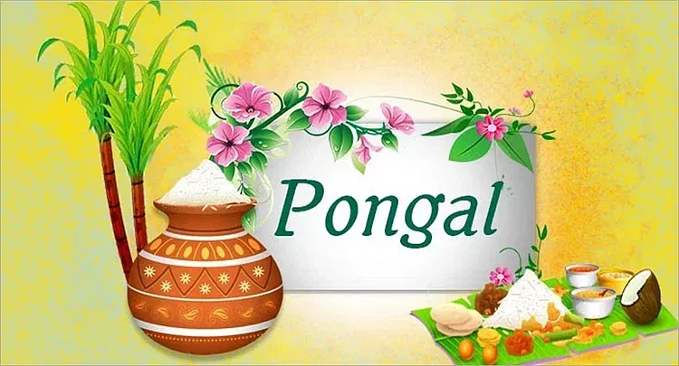 Pongal?blur=25