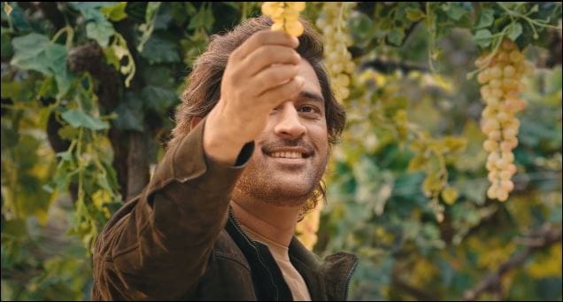 ms dhoni ad swaraj?blur=25