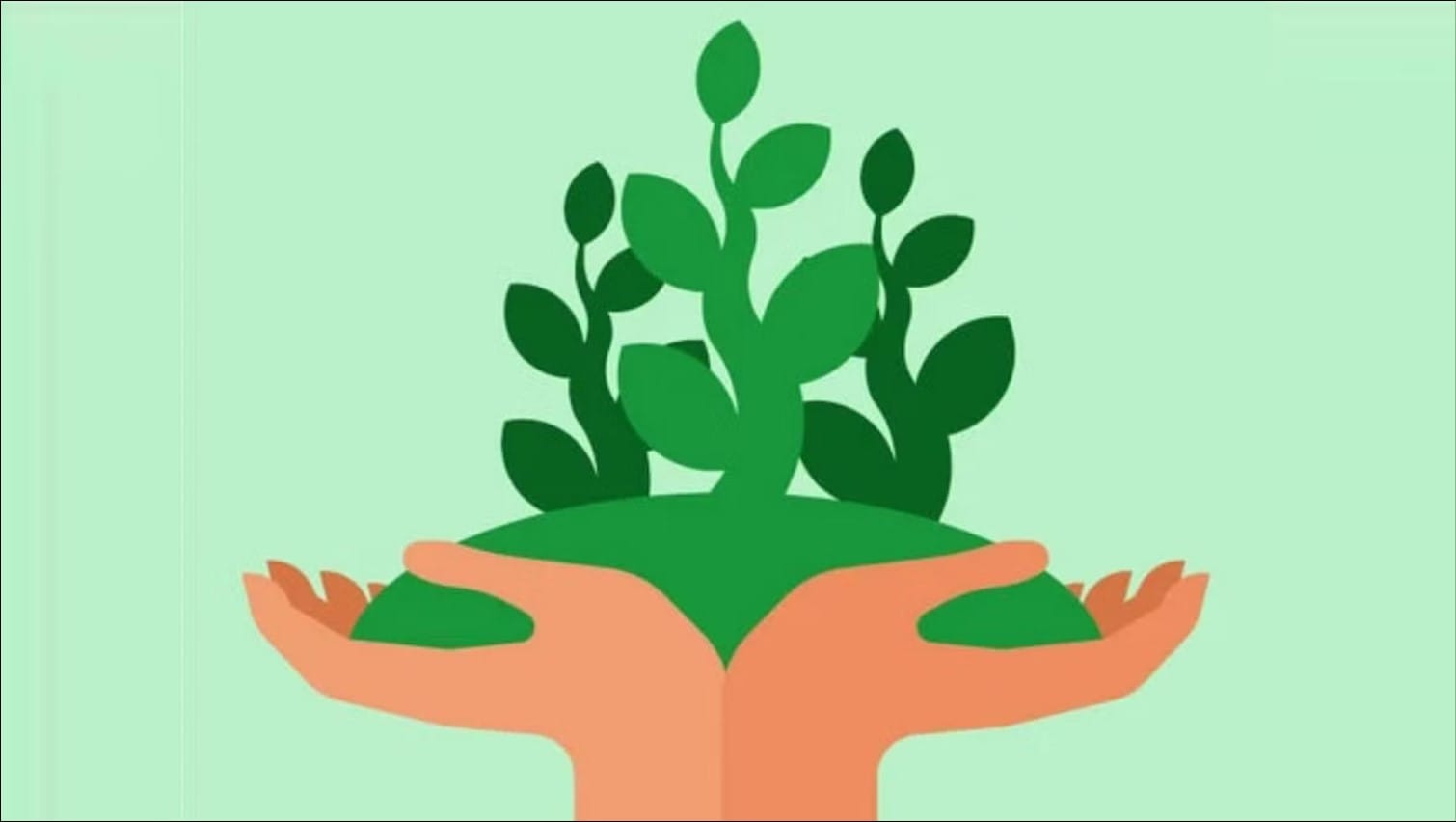 world environment day