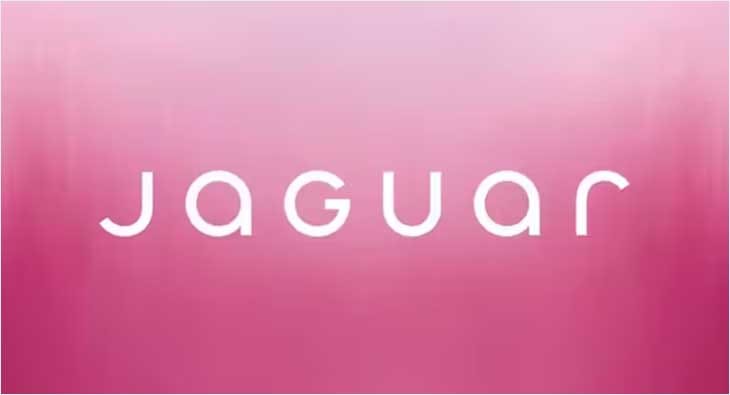 simple logo jaguar?blur=25