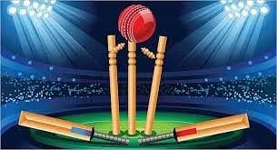 cricket?blur=25