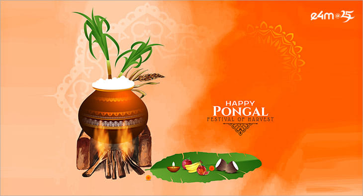 Pongal?blur=25
