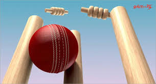 cricket?blur=25