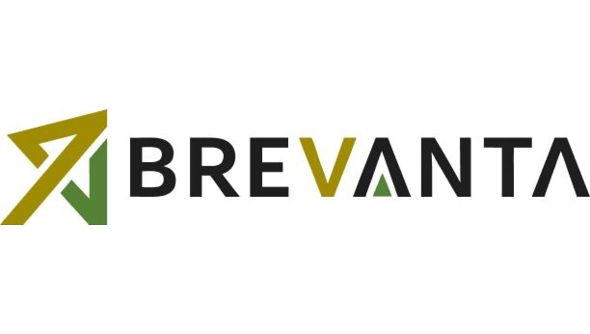 Mrinall Dey Launches Brevanta Communications for Strategic Advisory