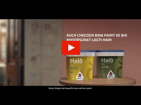 JSW Paints?blur=25