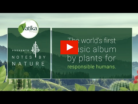 Notes By Nature?blur=25