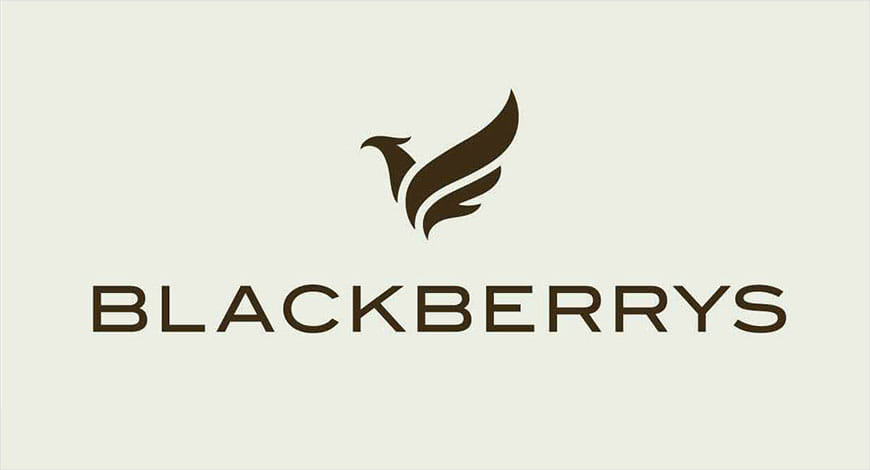 blackberry?blur=25