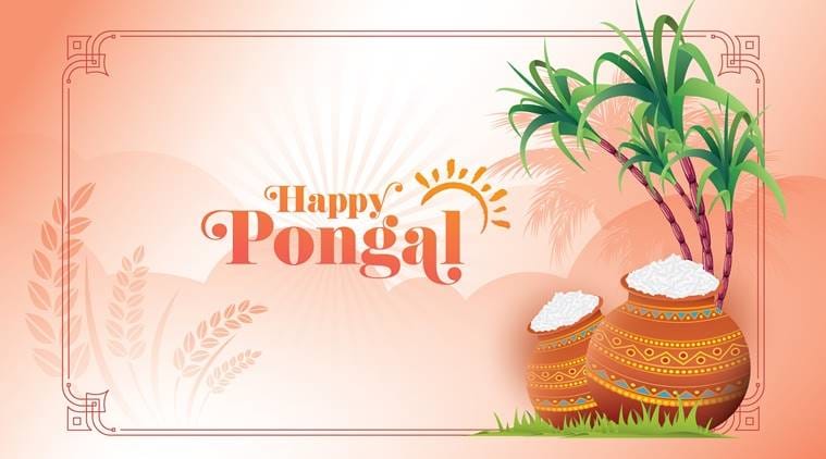 pongal?blur=25
