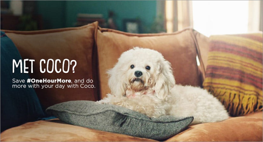 Coco?blur=25