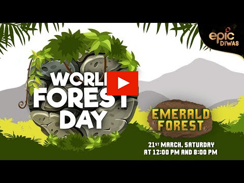 World Forest Day Special?blur=25