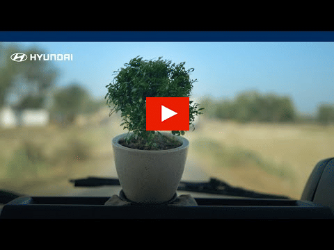 Hyundai Campaign?blur=25