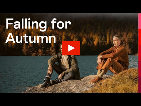 Roger Federer Swiss autumn Mads Mikkelsen?blur=25