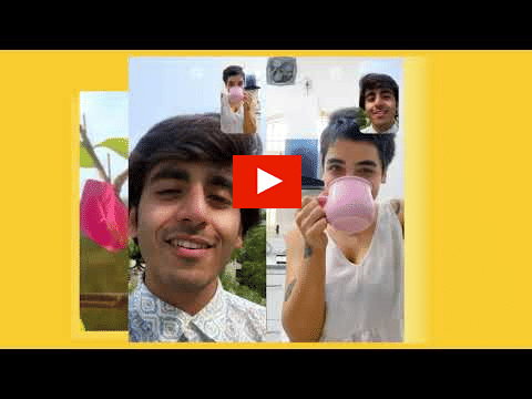 bumble?blur=25