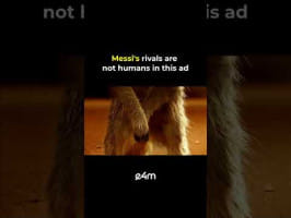 Before the World Cup, Messi Had to Beat... Meerkats