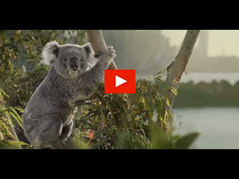 Australia?blur=25